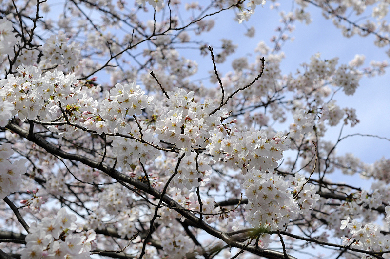image0330