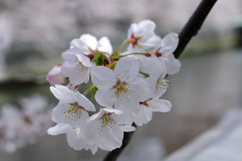 image0334