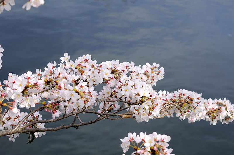 image0336