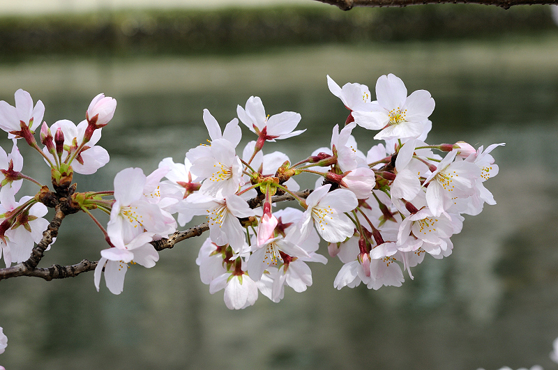 image0337