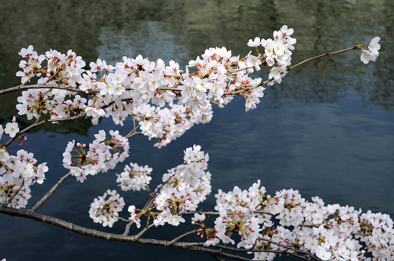 image0341