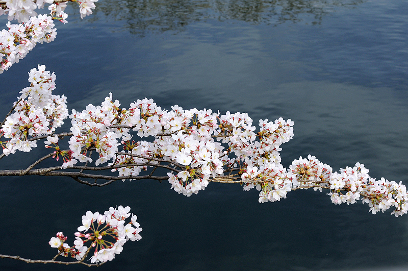 image0342