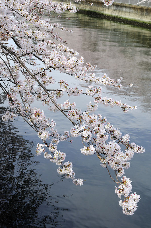 image0343
