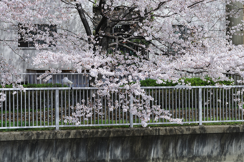 image0348