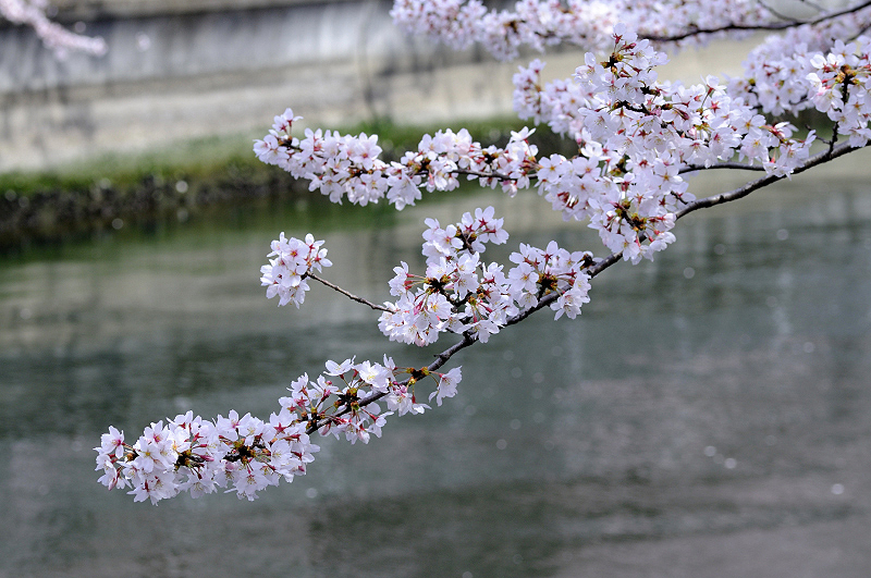 image0349