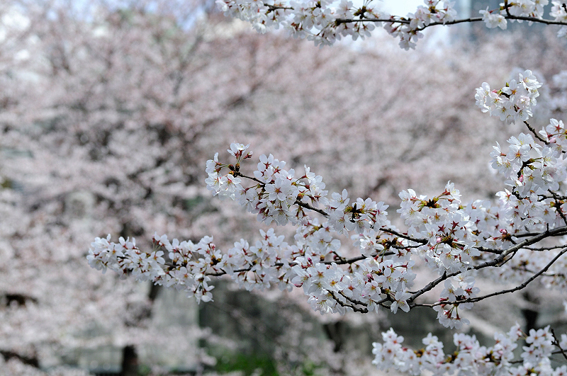 image0350