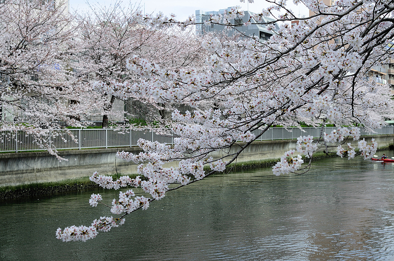 image0351