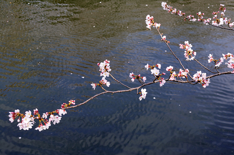 image0358