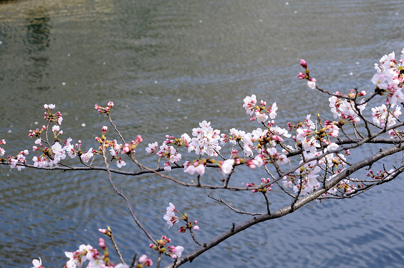 image0359