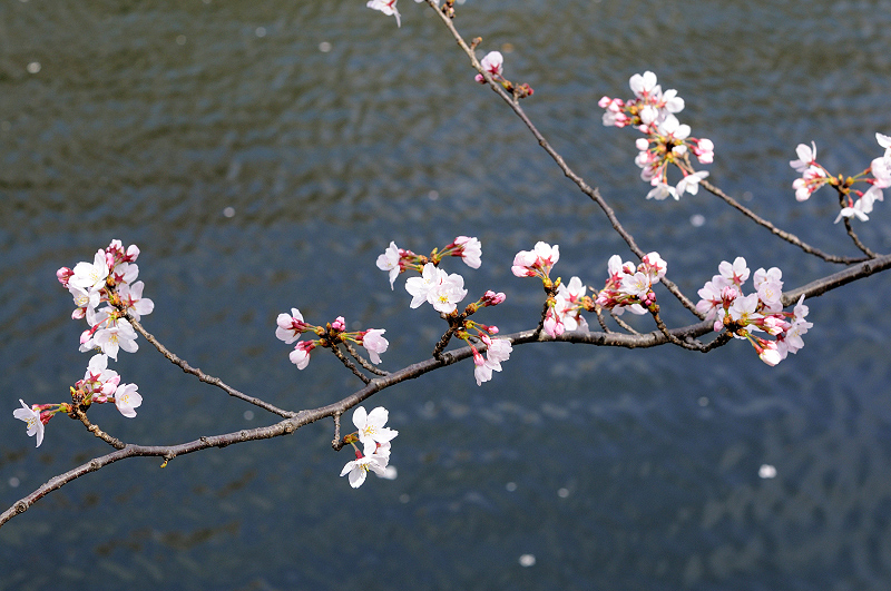 image0360