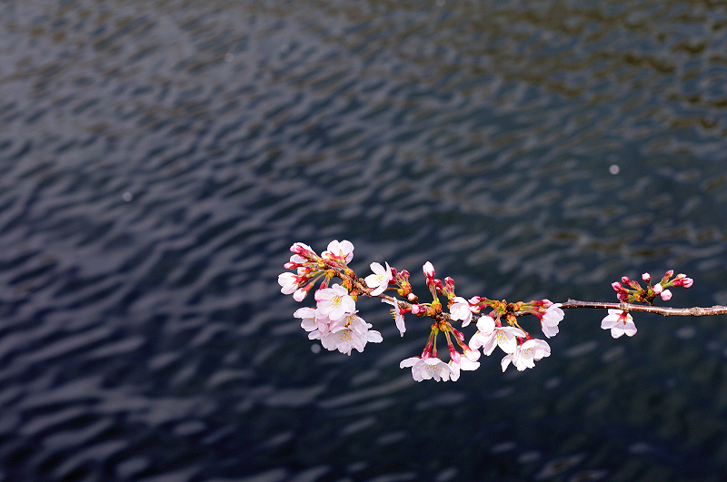 image0361
