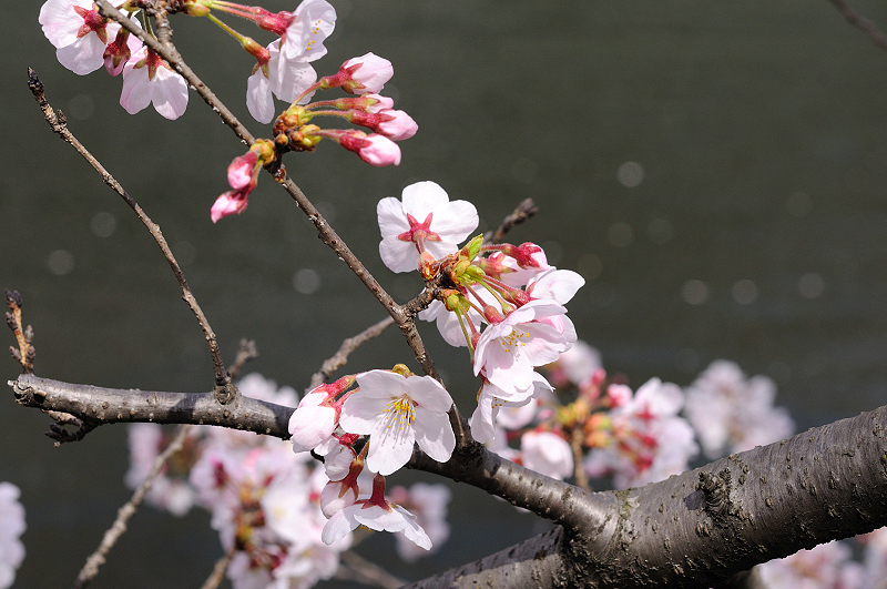 image0362
