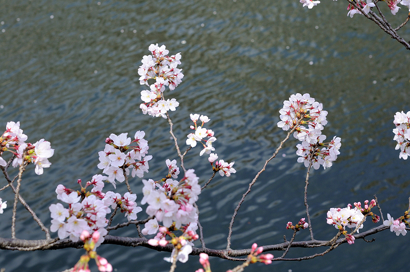 image0364