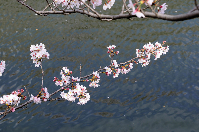 image0365