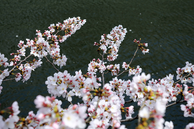 image0367
