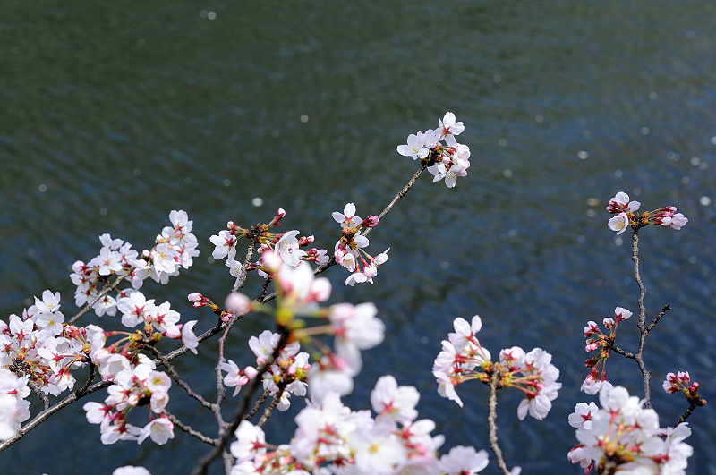 image0368
