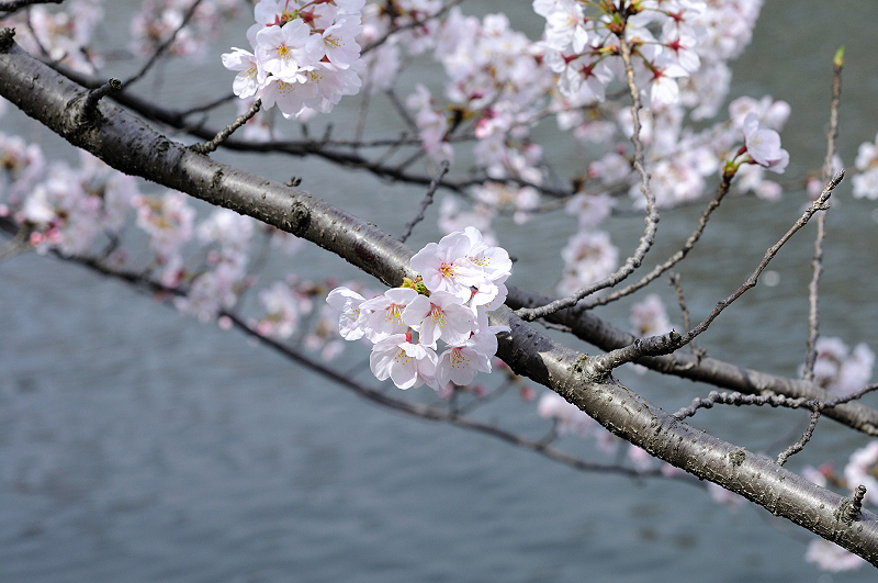 image0372
