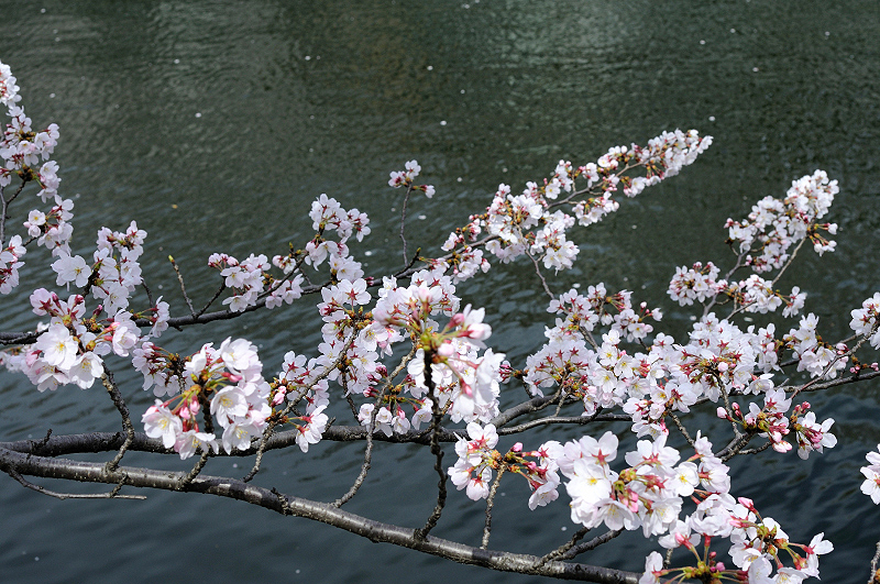image0373