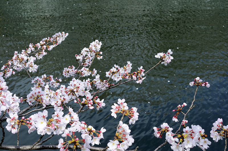 image0374