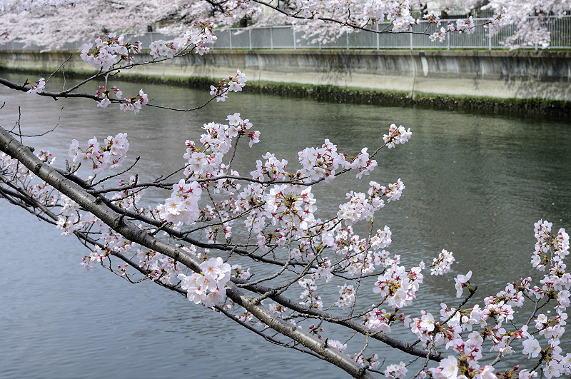 image0375