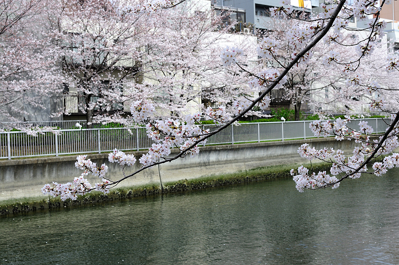 image0376