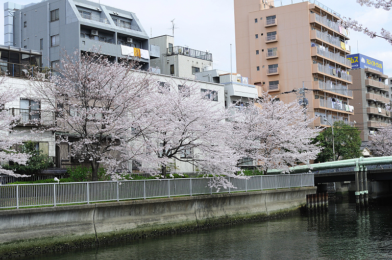 image0378
