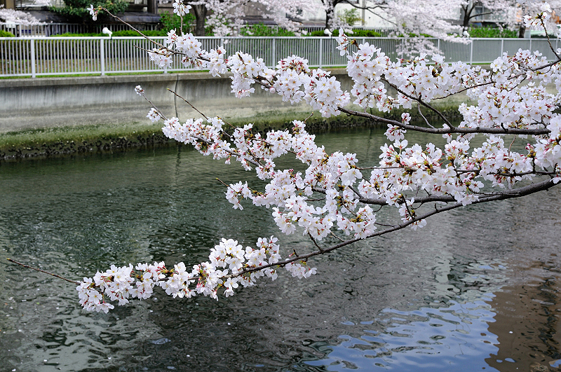 image0380
