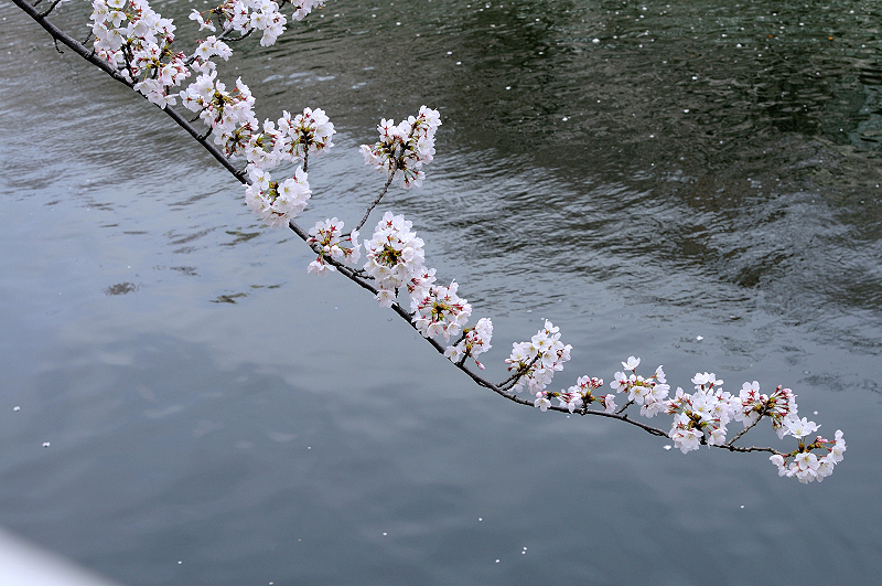 image0383