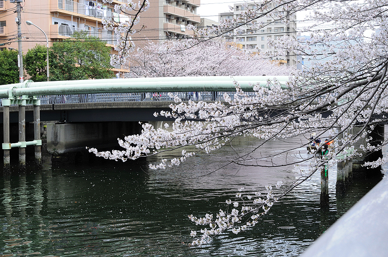 image0386