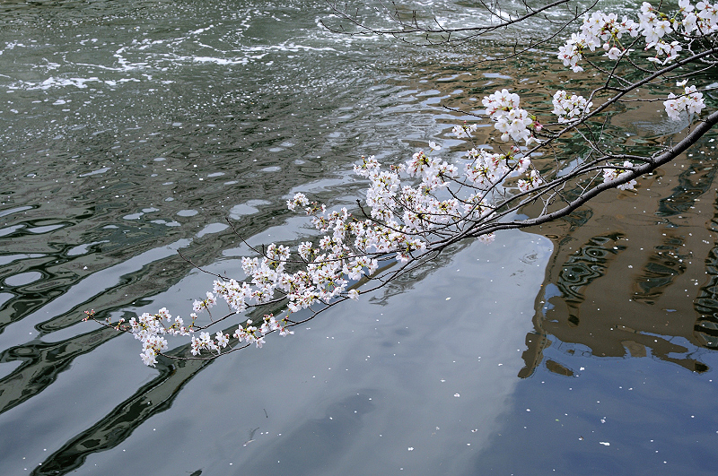 image0387