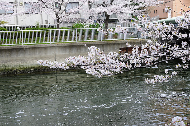 image0388