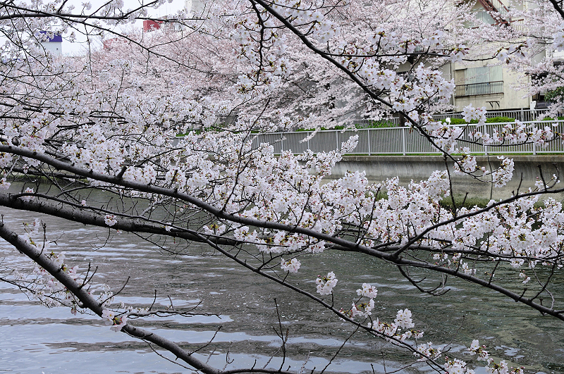 image0389
