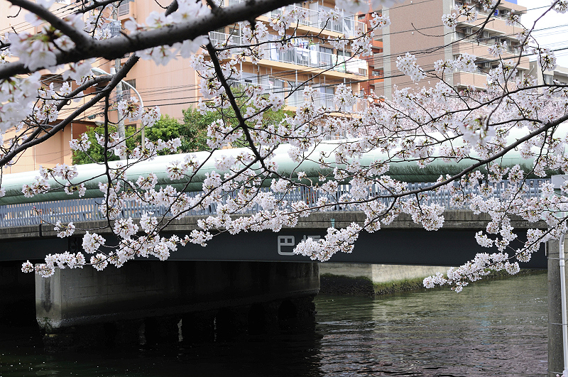image0391