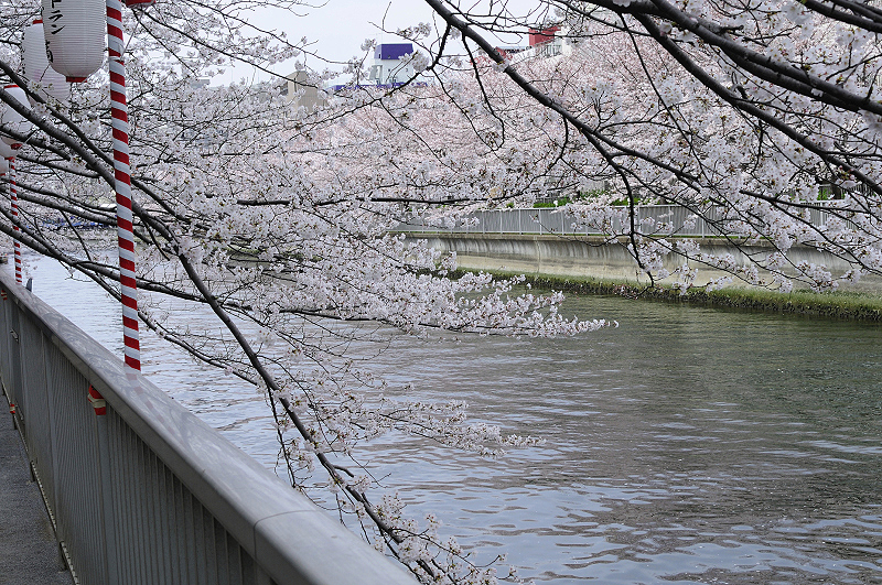 image0393
