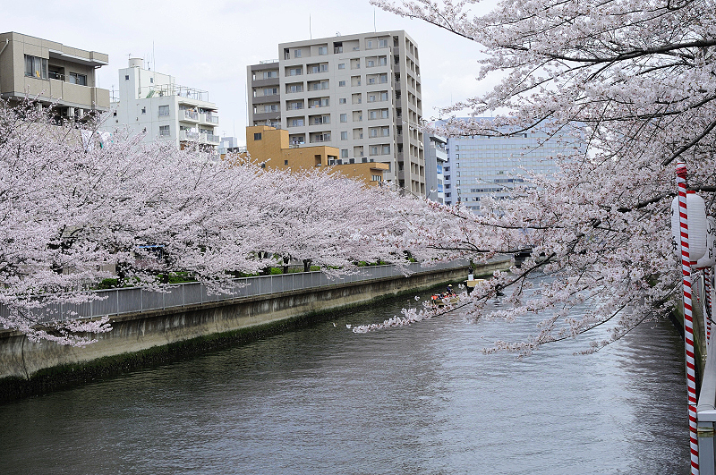 image0394