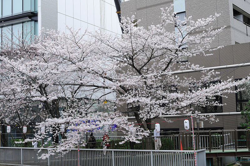 image0397