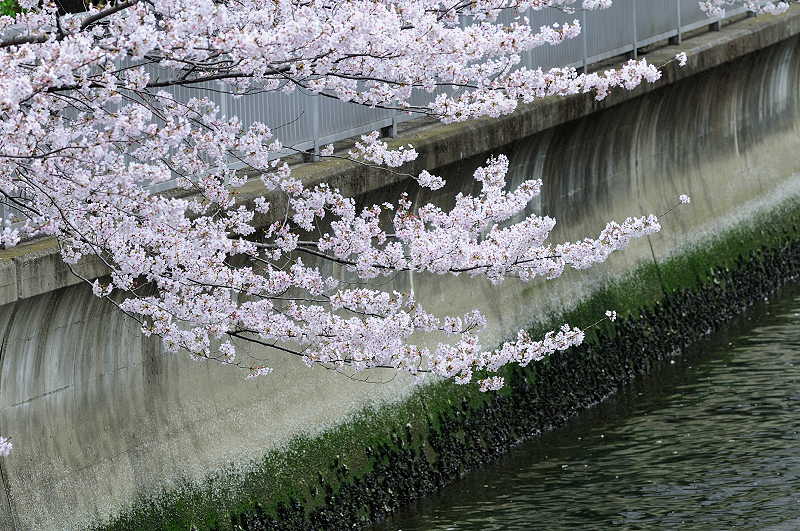 image0399
