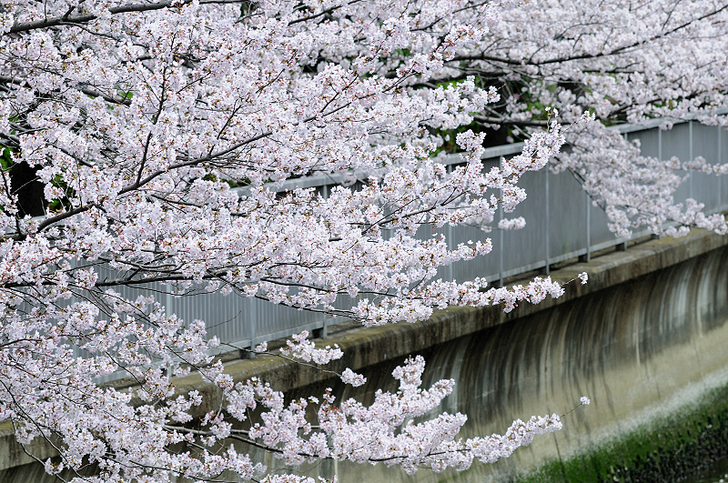 image0404