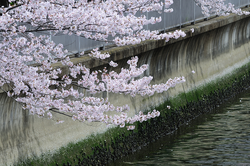 image0405
