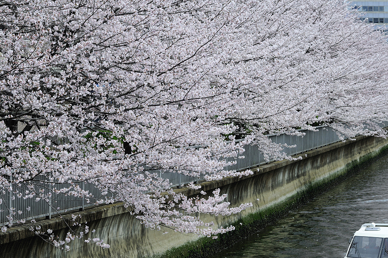 image0409