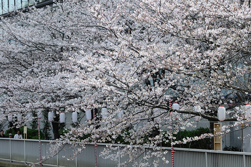 image0412