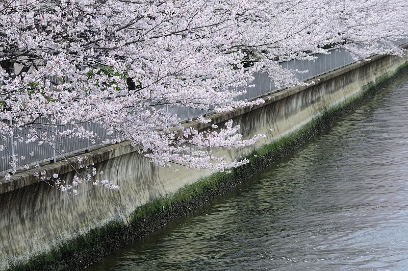 image0415