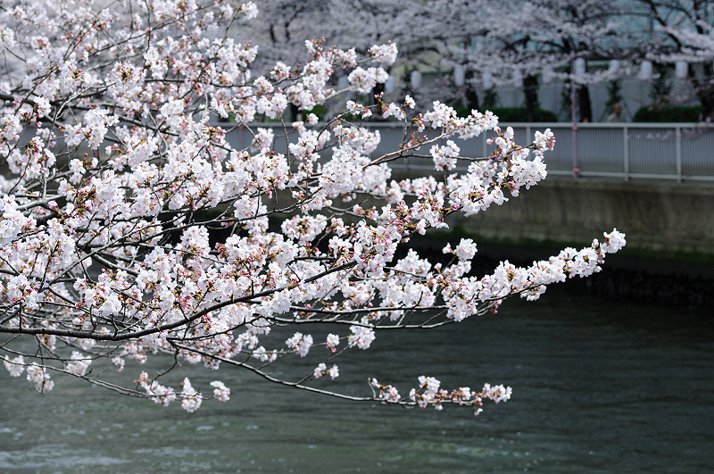 image0416