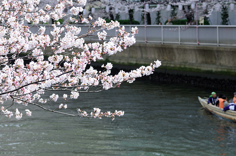 image0417
