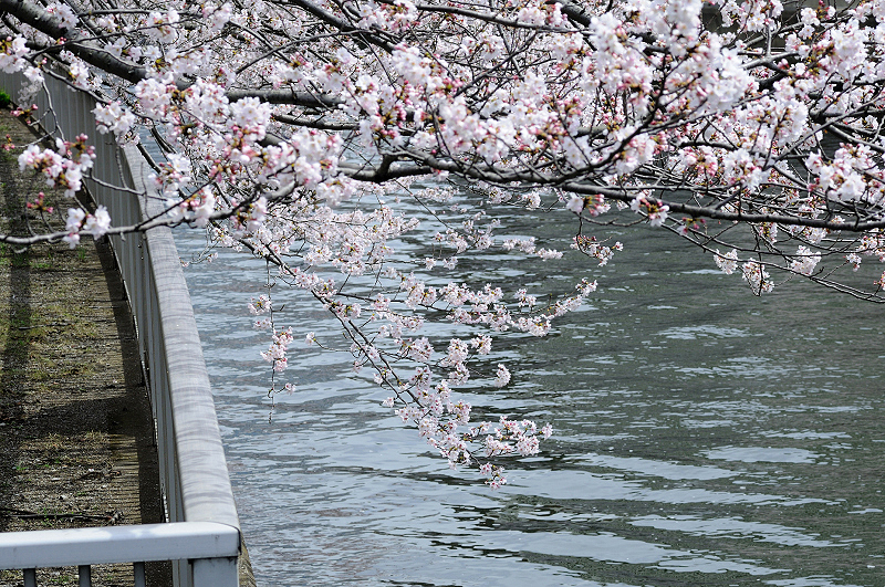 image0418