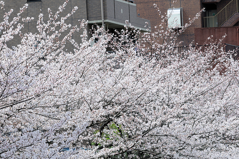 image0429