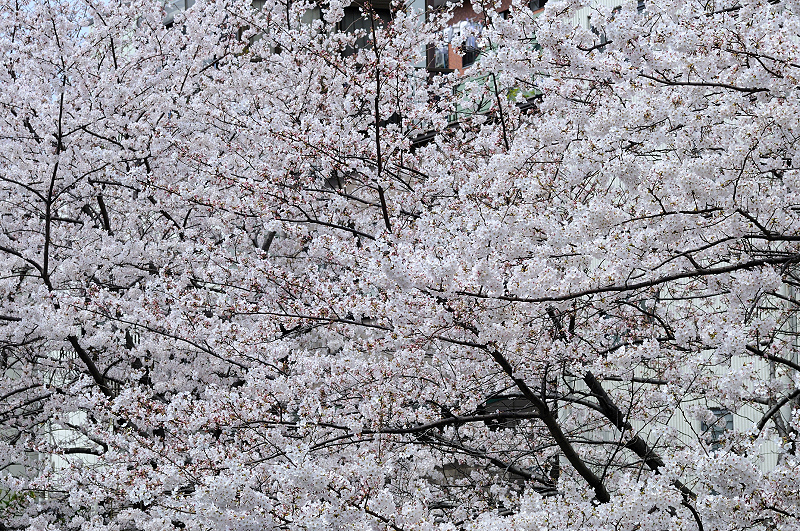 image0431