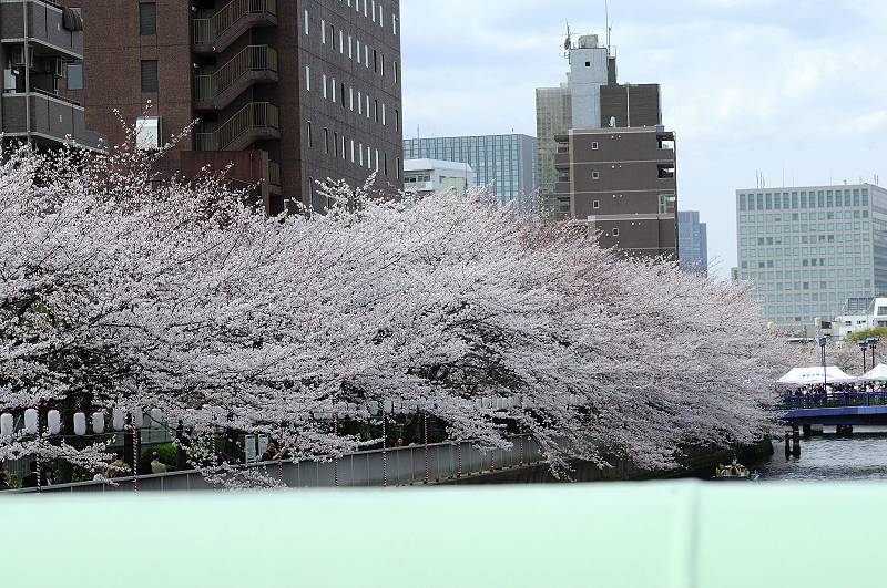 image0432