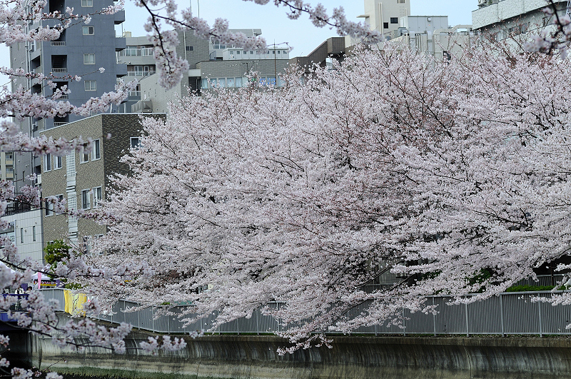 image0435