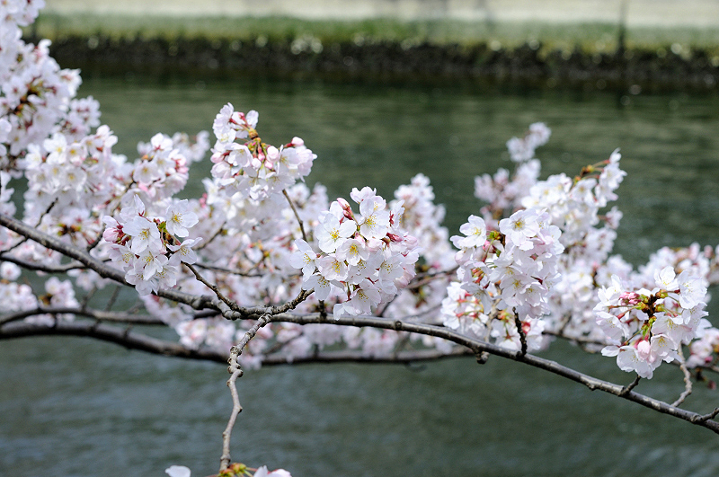 image0437
